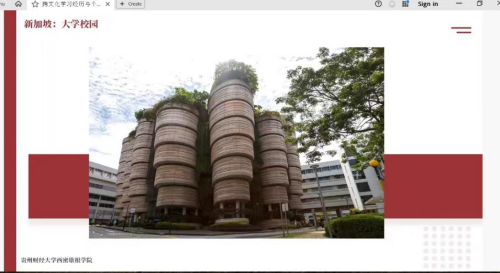 球客岛官方指定端